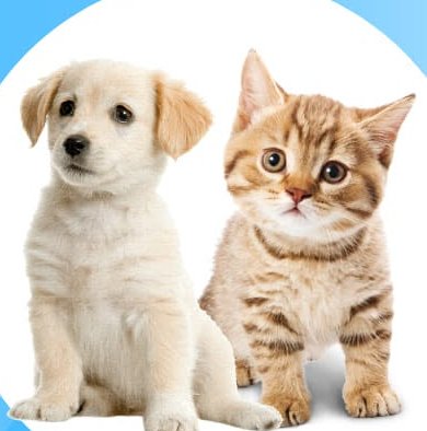 Pets seen on a home visit