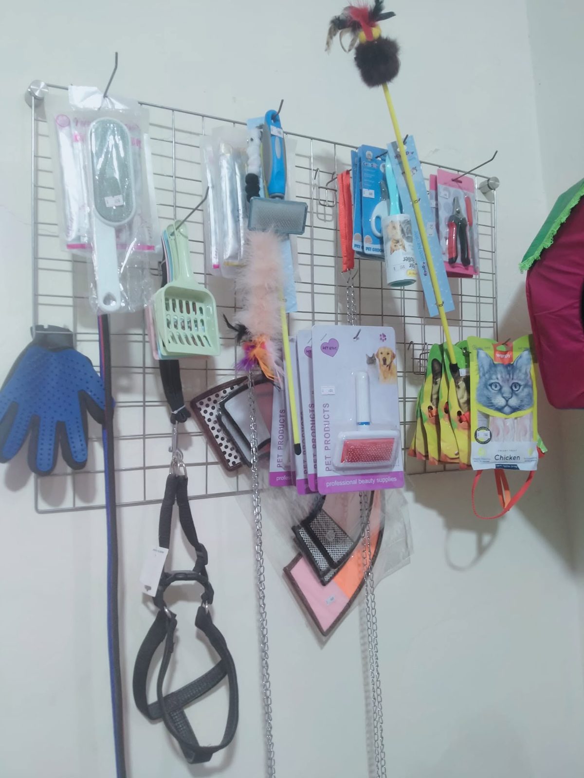Grooming Tools & Toys